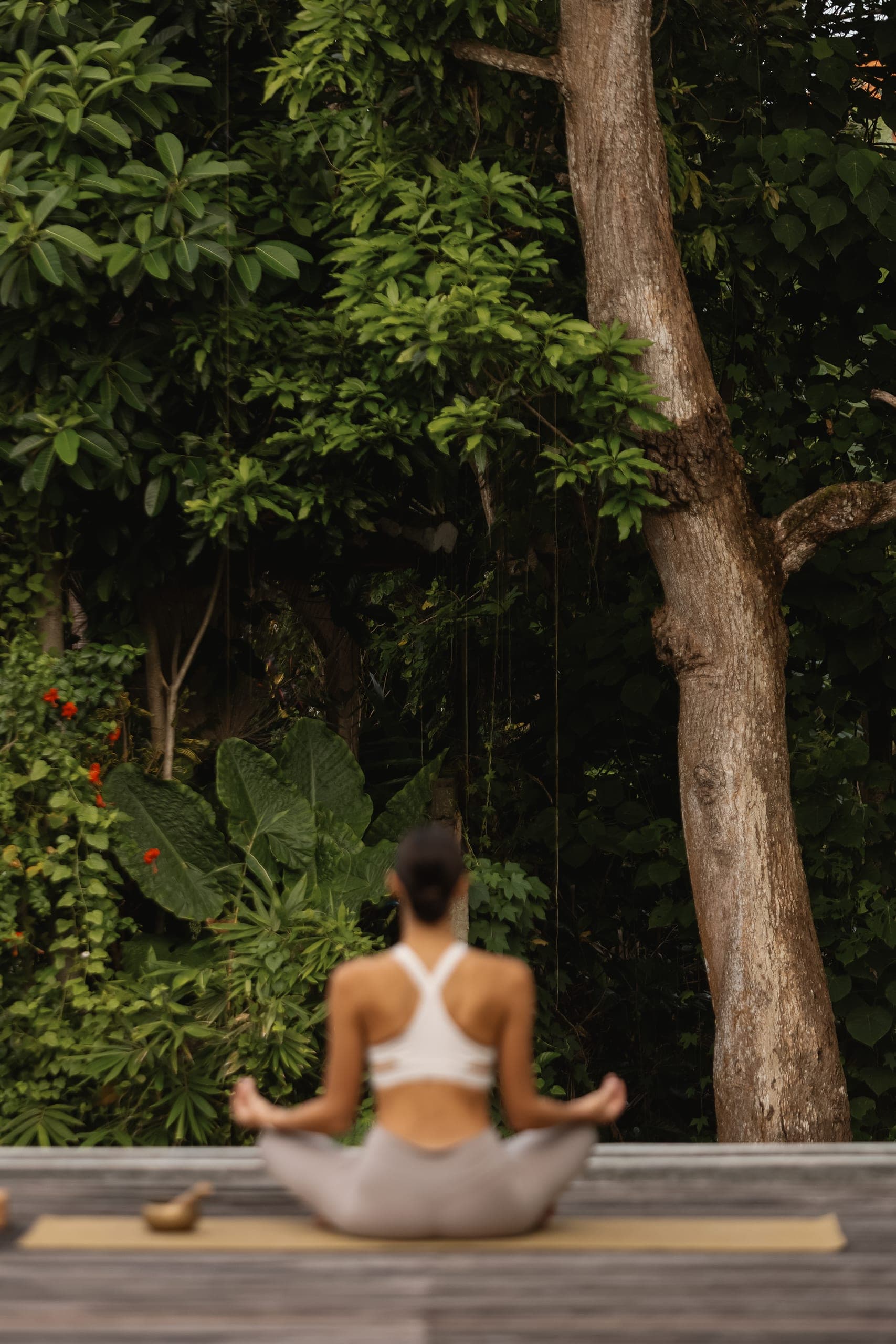 Mana Sanctuary, 8